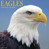 Title: 2016 Eagles Wall Calendar, Author: Willow Creek Press