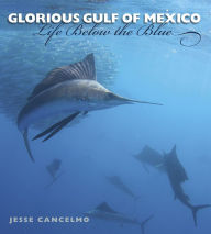 Title: Glorious Gulf of Mexico: Life Below the Blue, Author: Jesse Cancelmo