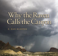 Title: Why the Raven Calls the Canyon: Off the Grid in Big Bend Country, Author: E. Dan Klepper