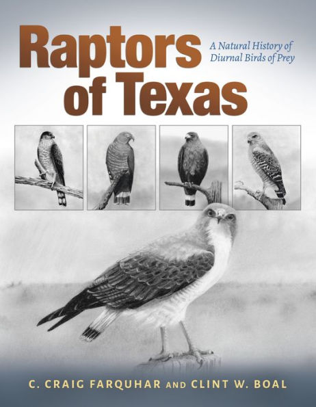 Raptors of Texas: A Natural History of Diurnal Birds of Prey by C ...