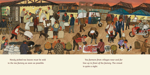 Picking Tea with Baba