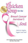Alternative view 2 of Chicken Soup for the Breast Cancer Survivor's Soul: Stories to Inspire, Support and Heal