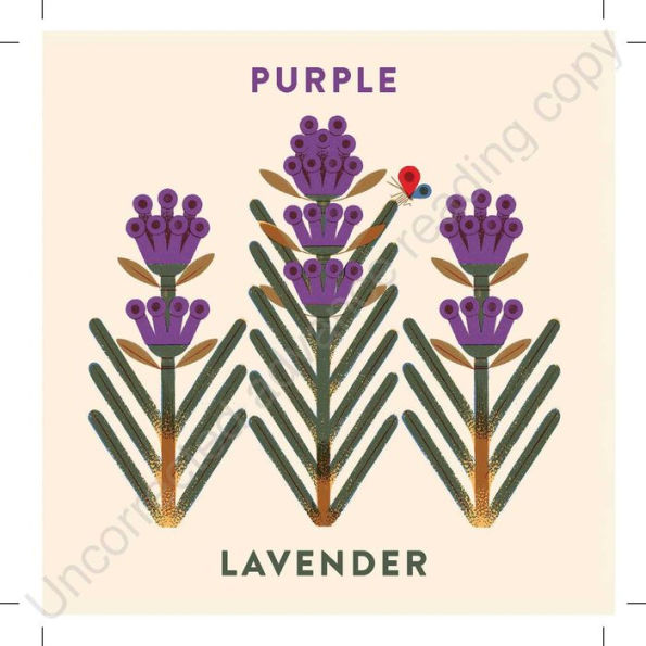 Babylink: Colors in the Garden