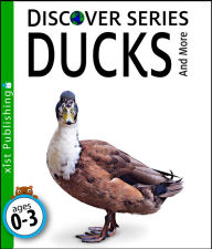 Title: Ducks, Author: Xist Publishing