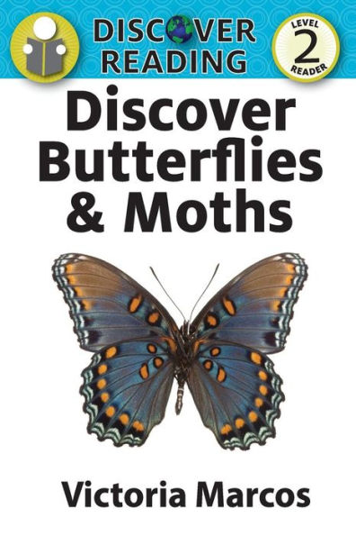 Discover Butterflies & Moths