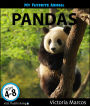 My Favorite Animal: Pandas