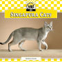 Singapura Cats eBook