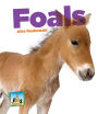 Foals