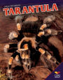 Tarantula