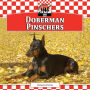 Doberman Pinschers