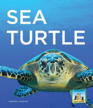 Title: Sea Turtle, Author: Anders Hanson