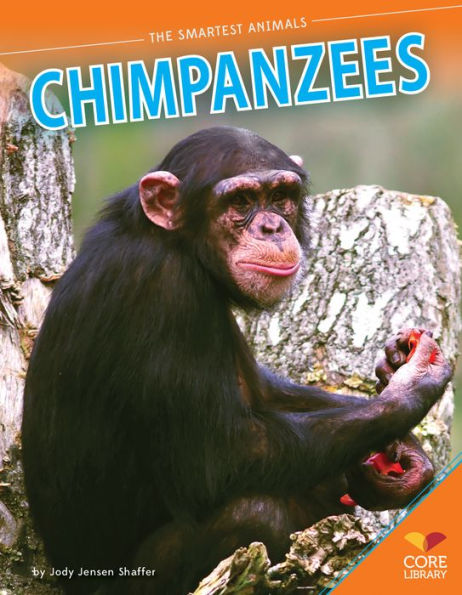 Chimpanzees