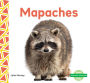 Mapaches (Raccoons)