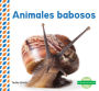 Animales Babosos (Slimy Animals )