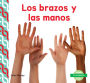 Los brazos y las manos (Arms & Hands)