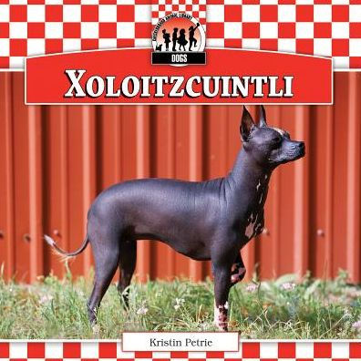 Xoloitzcuintli