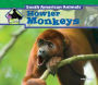 Howler Monkeys