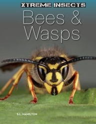 Title: Bees & Wasps, Author: S. L. Hamilton