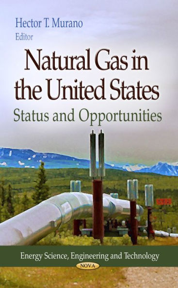 Natural Gas in the United States : Status and Opportunities