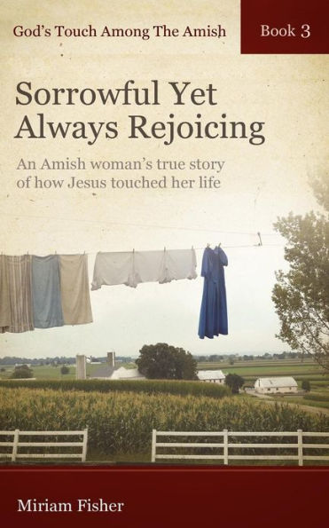 God's Touch Among The Amish Book 3