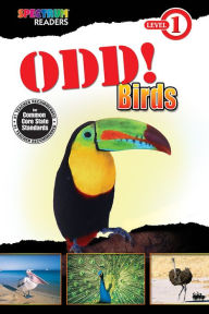 Title: Odd! Birds: Level 1, Author: Domnauer