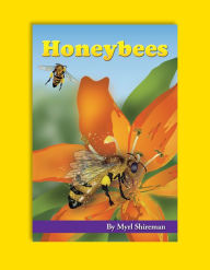 Title: Honeybees: Reading Level 3, Author: Myrl Shireman