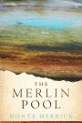 The Merlin Pool