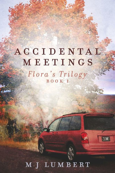 Accidental Meetings: Flora's Trilogy Book 1