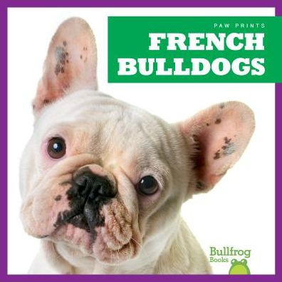 French Bulldogs