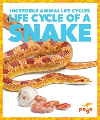 Life Cycle of a Snake