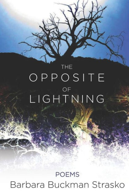 The Opposite of Lightning by Barbara Buckman Strasko, Paperback ...