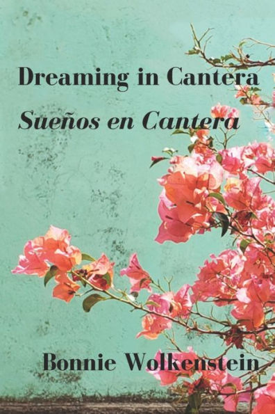 Dreaming in Cantera / Sueï¿½os en Cantera