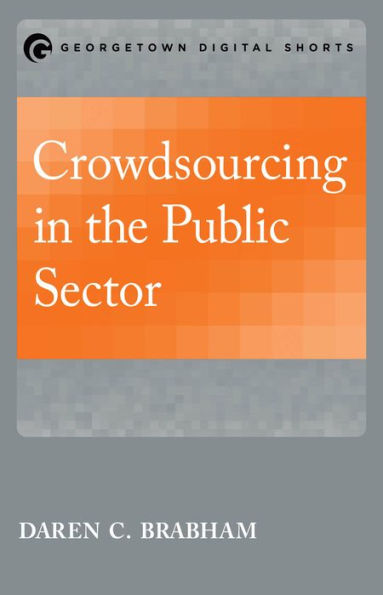 Crowdsourcing the Public Sector