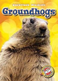 Title: Groundhogs, Author: Kari Schuetz