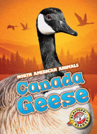 Title: Canada Geese, Author: Megan Borgert-Spaniol