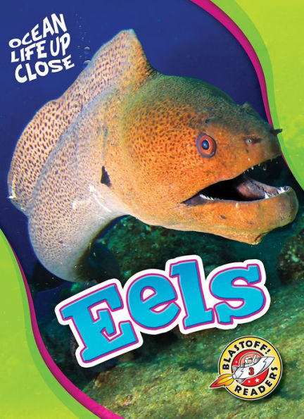 Eels