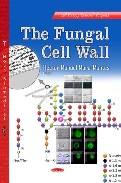 Fungal Cell Wall, The