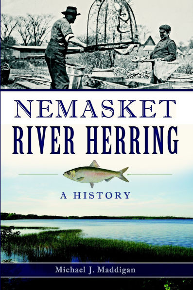 Nemasket River Herring: A History