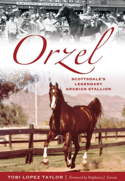 Orzel:: Scottsdale's Legendary Arabian Stallion