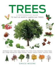 Title: Trees: A Visual Guide, Author: Hajeski