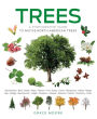 Trees: A Visual Guide