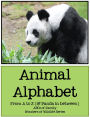 Animal Alphabet: From A to Z (& Panda in Between)