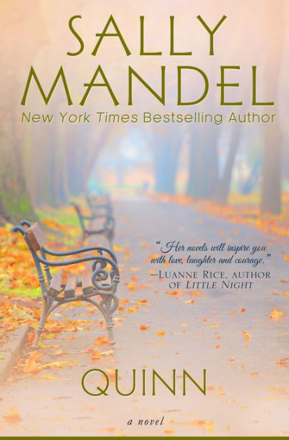 Quinn: A Novel by Sally Mandel | eBook | Barnes & Noble®