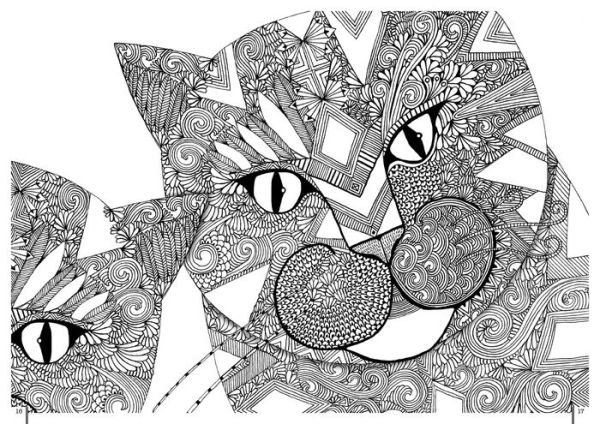 Coloring in 3D Cats