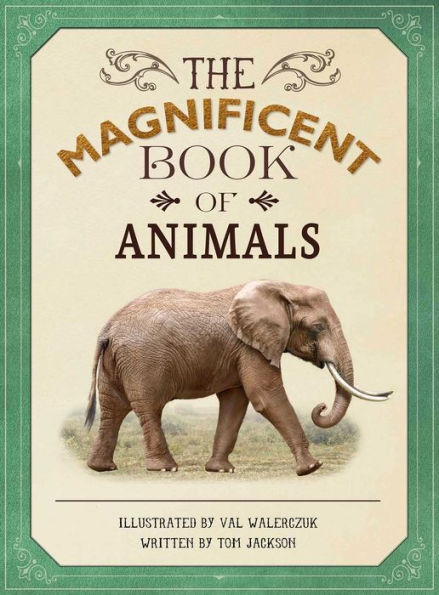 The Magnificent Book of Animals