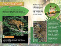 Alternative view 4 of Smithsonian Readers: Ultimate Predators Level 3