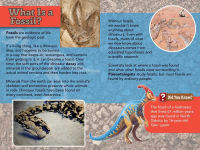 Alternative view 5 of Smithsonian Readers: Ultimate Predators Level 3