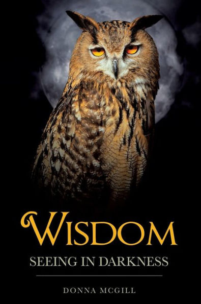 Wisdom Seeing Darkness