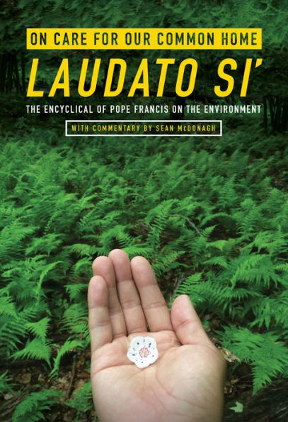 On Care for Our Common Home, Laudato Si': The Encyclical of Pope Francis on the Environment with Commentary by Sean McDonagh