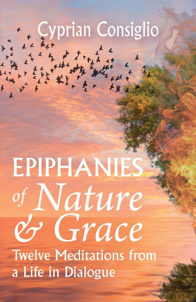 Epiphanies of Nature and Grace: Twelve Meditations from a Life Dialogue